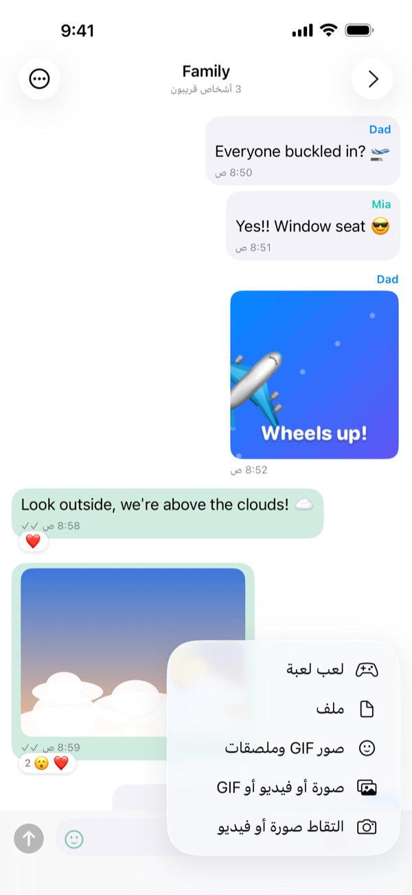 قائمة + وفيها «التقاط صورة أو فيديو» و«صورة أو فيديو أو GIF» و«صور GIF وملصقات» و«ملف».