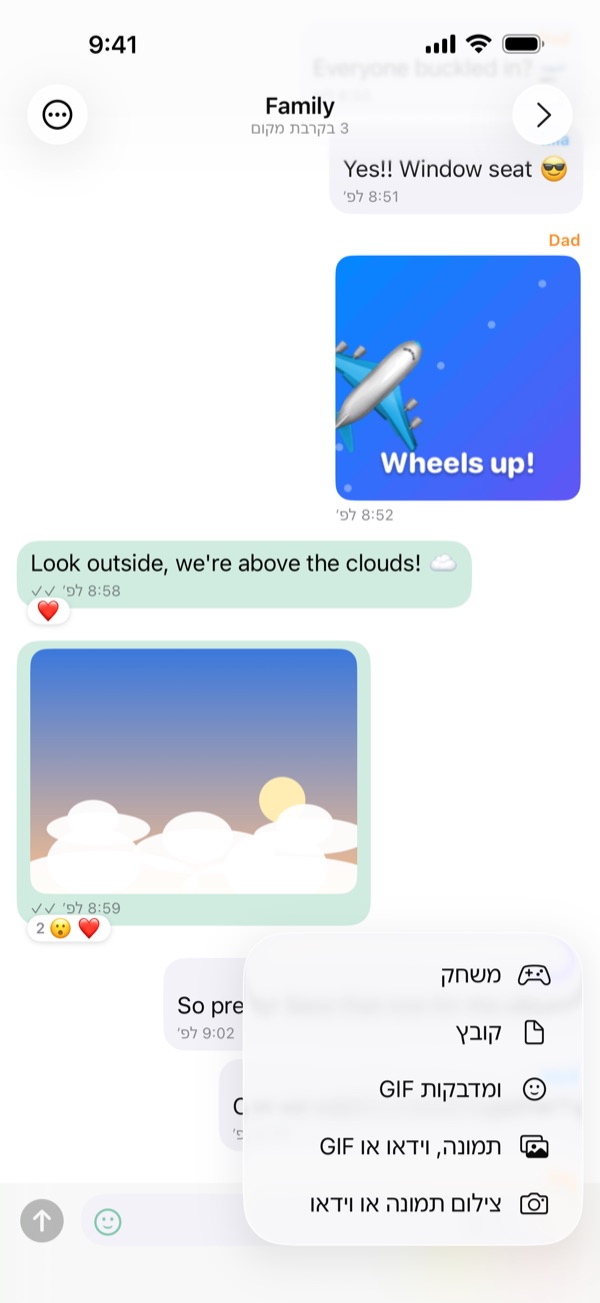 תפריט + עם „צילום תמונה או וידאו”, „תמונה, וידאו או GIF”, „GIF ומדבקות” ו„קובץ”.